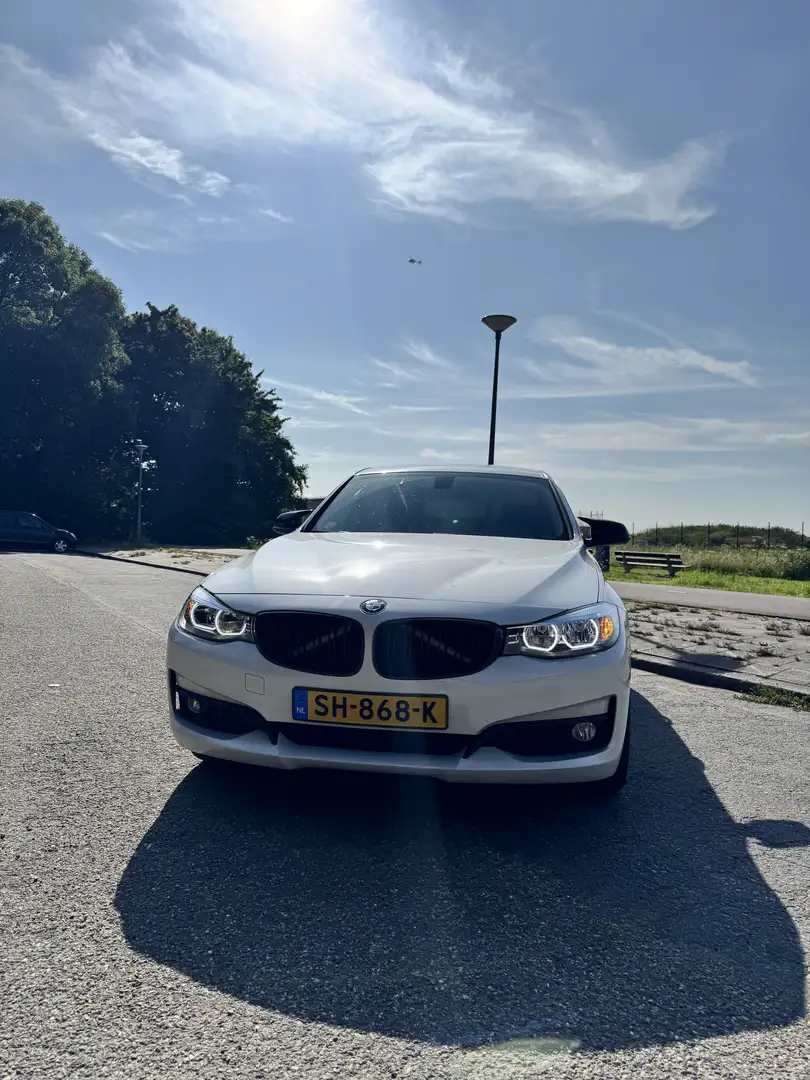 BMW 318 High Executive Wit - 1