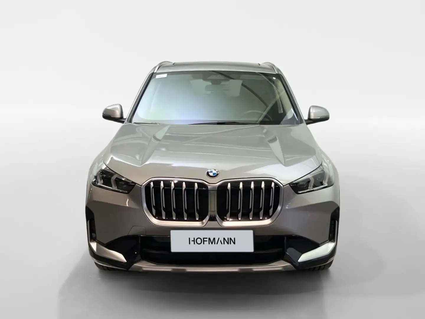 BMW X1 xLine Gris - 2