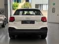 Audi Q2 Q2 30 TDI Business Bianco - thumbnail 9