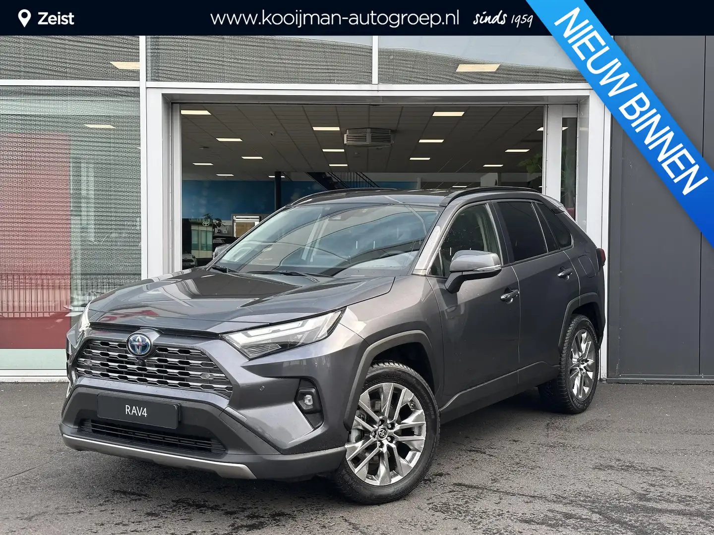 Toyota RAV 4 2.5 Hybrid AWD Executive Blind Spot | 19 inch LM v Grijs - 1