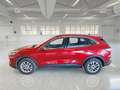 Ford Kuga 2.5 Benzina FHEV 152CV 2WD Titanium Business Aut - thumbnail 5