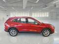 Ford Kuga 2.5 Benzina FHEV 152CV 2WD Titanium Business Aut - thumbnail 3