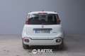 Fiat Panda Pandina 1.0 firefly hybrid 70CV Cross Weiß - thumbnail 5