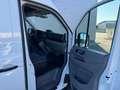 Volkswagen Crafter 35 Kastenwagen L3H3 TDI **PICKERL NEU**GARANTIE** Weiß - thumbnail 19