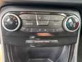 Ford Puma 1,0l Titanium*1.HAND*KAMERA*WINTER-PAKET Grau - thumbnail 19