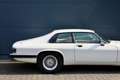 Jaguar XJS 4.0 *41TKM*EX-MONACO* Weiß - thumbnail 24