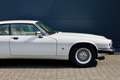 Jaguar XJS 4.0 *41TKM*EX-MONACO* Weiß - thumbnail 22