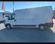 Citroen Jumper 33 BlueHDi 140 S&S PLM-TM Furgone Білий - thumbnail 15