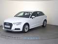 Audi A3 Audi A3 SB 1.4 TFSI e-tron Ambition Weiß - thumbnail 2
