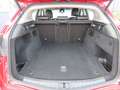Alfa Romeo Stelvio Super Q4 Autom. Leder Navigation Rot - thumbnail 22