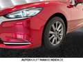 Mazda 6 2.0 SKYACTIV-G 15 Exclusive AHK STDHz HUD 30 Rouge - thumbnail 15