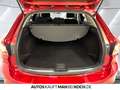 Mazda 6 2.0 SKYACTIV-G 15 Exclusive AHK STDHz HUD 30 Rouge - thumbnail 14