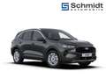 Ford Kuga Titanium 2,5L FHEV 183PS A AWD Grau - thumbnail 4