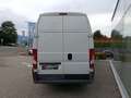 Citroen Jumper 35 L3H3 HDi 130 Weiß - thumbnail 11