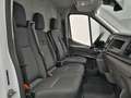 Ford Transit Kasten 290 L2H2 Trend 130PS/Klima Bianco - thumbnail 13