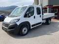 Fiat Ducato Maxi35H doppia cabina L4H1 2.2Multijet 16v Cassone Bianco - thumbnail 2