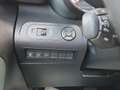 Citroen Berlingo **XL,XTR,Head-UP,NAVI,EAT8,180°RFK,SITZH** Grau - thumbnail 29