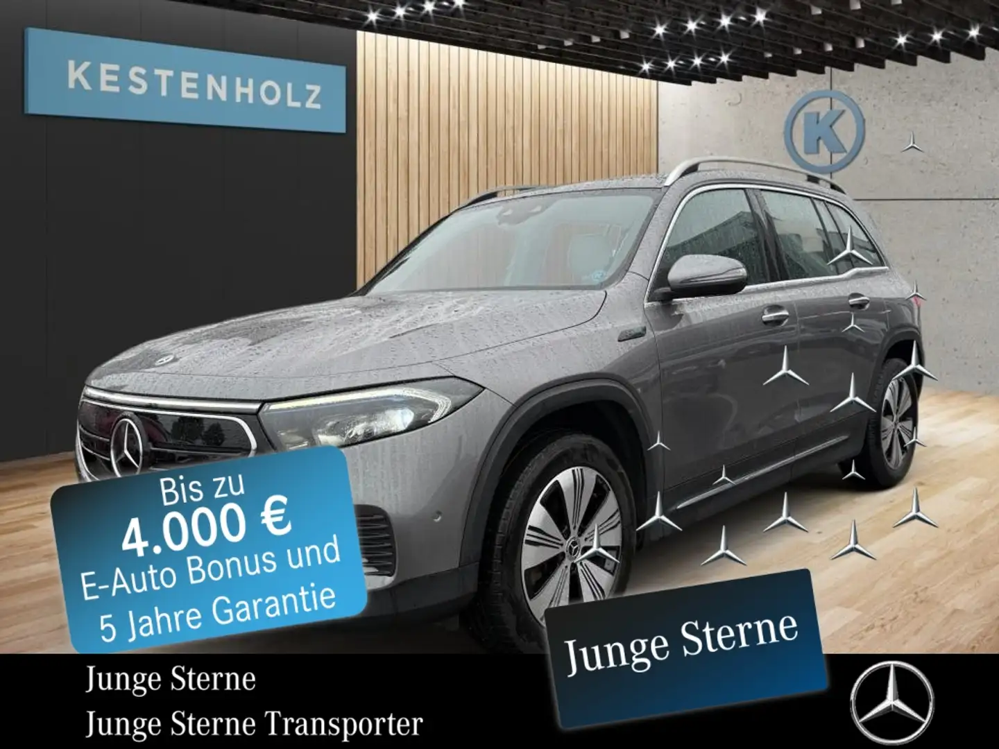 Mercedes-Benz EQB 250 EQB 250 *PROGRESSIVE*KAMERA*PANO*STHZ*NAVI*LED* Grau - 1