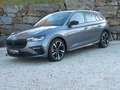 Skoda Scala 1.0 TSI DSG 85kW Monte Carlo 18'' Grau - thumbnail 2