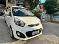 Kia Picanto Picanto 1.0 Cool Gpl 5p Bílá - thumbnail 2