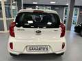 Kia Picanto Picanto 1.0 Cool Gpl 5p Blanc - thumbnail 5