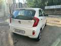 Kia Picanto Picanto 1.0 Cool Gpl 5p Bílá - thumbnail 8
