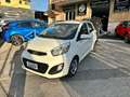 Kia Picanto Picanto 1.0 Cool Gpl 5p Bílá - thumbnail 3