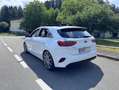 Kia Ceed / cee'd 1,6 CRDi ISG Platin Weiß - thumbnail 4
