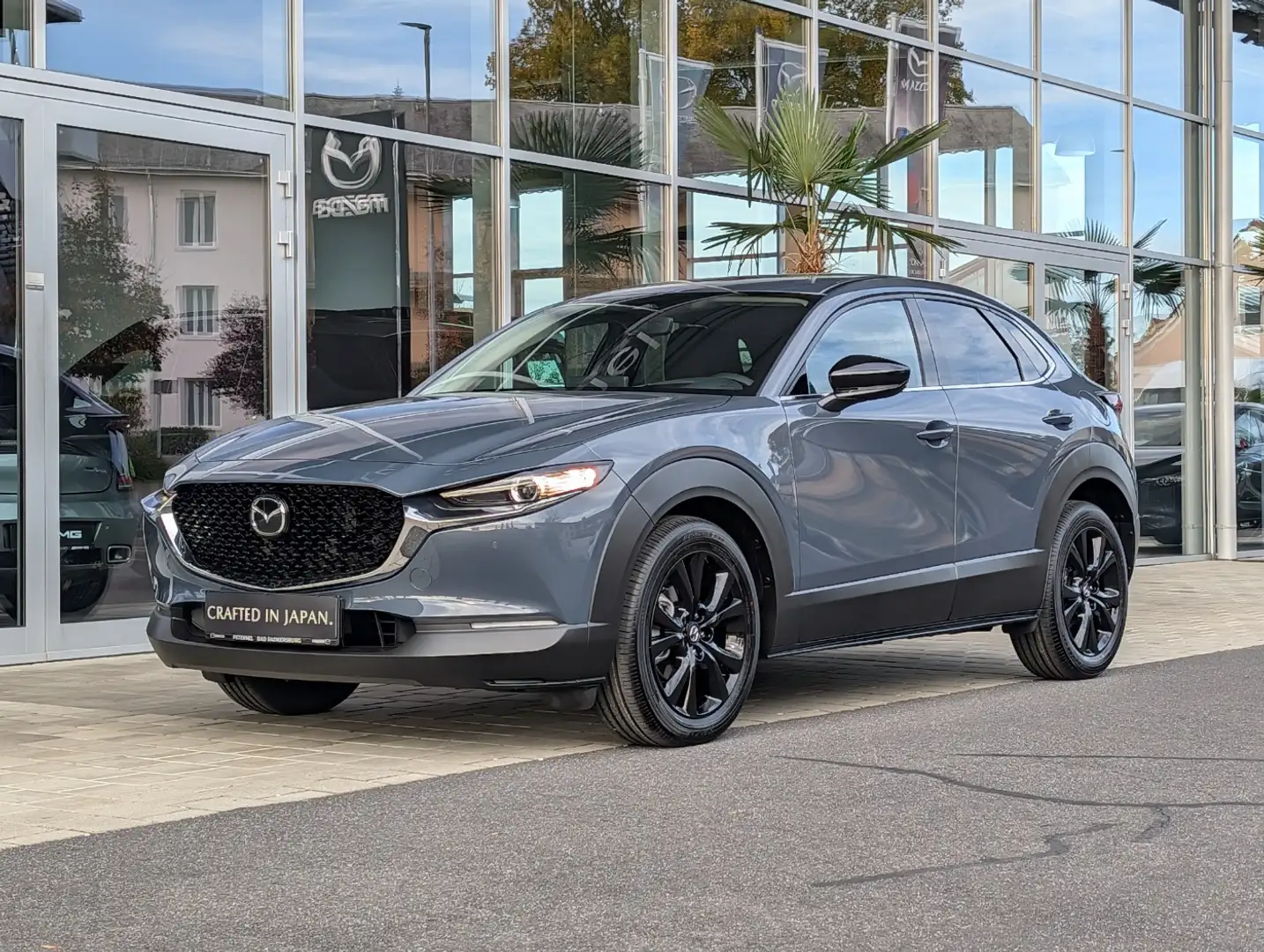 Mazda CX-30 2.5 G140  HOMURA Gris - 2