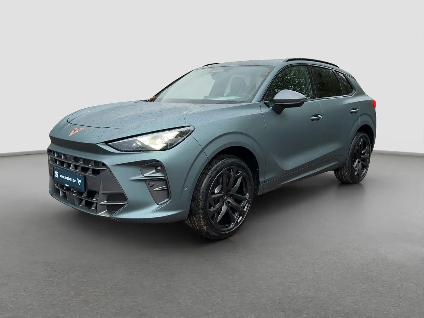 CUPRA Terramar 2.0 VZ DSG 4DRIVE AHK MATRIX HUD SENNH. Gris - 2