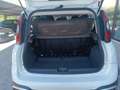 Fiat Panda 1.2 City Cross 4x2 Blanco - thumbnail 17