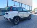 Fiat Panda 1.2 City Cross 4x2 Blanco - thumbnail 30