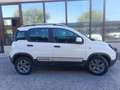 Fiat Panda 1.2 City Cross 4x2 Blanco - thumbnail 31