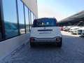 Fiat Panda 1.2 City Cross 4x2 Blanco - thumbnail 28