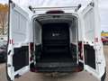 Ford Transit 350 L3H2*6 Sitzer*1 Besitz*MwSt*AHK*Pickerl NEU Weiß - thumbnail 24