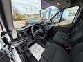 Ford Transit 350 L3H2*6 Sitzer*1 Besitz*MwSt*AHK*Pickerl NEU Weiß - thumbnail 7