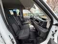 Ford Transit 350 L3H2*6 Sitzer*1 Besitz*MwSt*AHK*Pickerl NEU Weiß - thumbnail 18