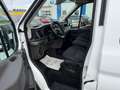 Ford Transit 350 L3H2*6 Sitzer*1 Besitz*MwSt*AHK*Pickerl NEU Weiß - thumbnail 6