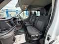 Ford Transit 350 L3H2*6 Sitzer*1 Besitz*MwSt*AHK*Pickerl NEU Weiß - thumbnail 8