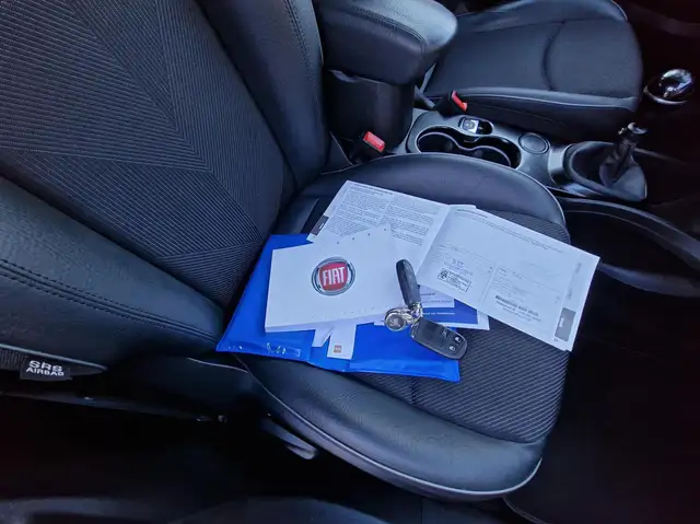 Fiat 500x view 13