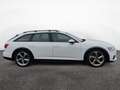 Audi A6 allroad A6 allroad 40 TDI AHK ACC LED Weiß - thumbnail 7