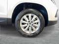 SEAT Ateca Reference Edition 1.0 TSI Weiß - thumbnail 6