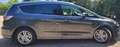 Ford S-Max S-Max 2.0 EcoBlue Aut. TITANIUM Grau - thumbnail 4