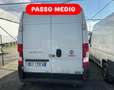 Fiat Ducato 2.2mjt 140cv L2H2 FURGONE KM 85.000 Bianco - thumbnail 4