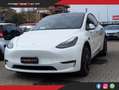 Tesla Model Y Performance AWD Bianco - thumbnail 1