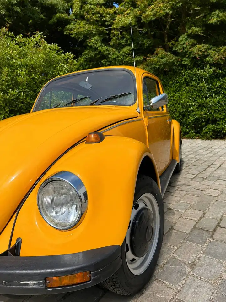 Volkswagen Kever, foto 2