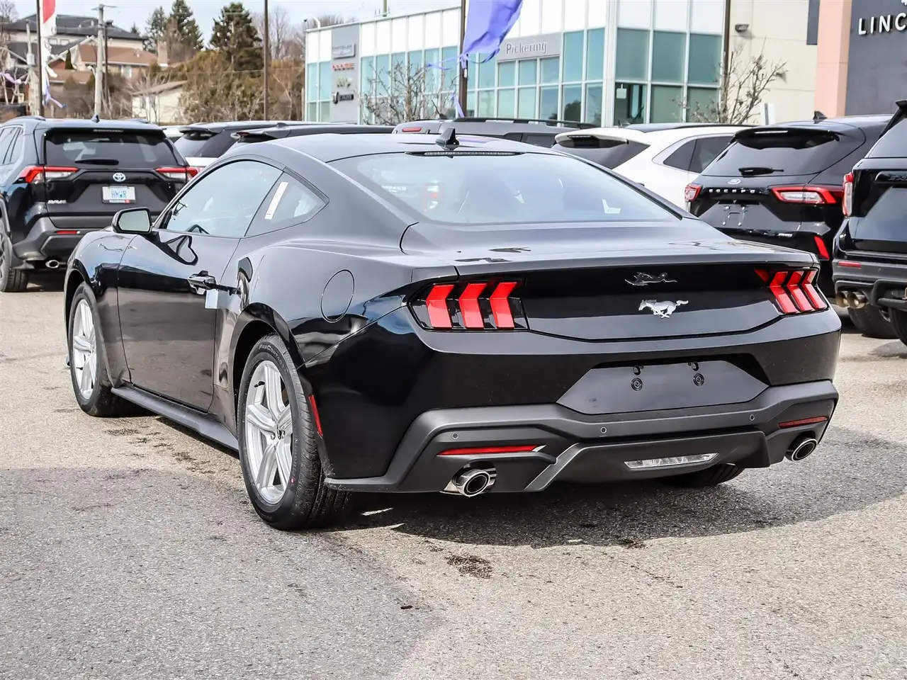Ford Mustang fotografie Ford Mustang