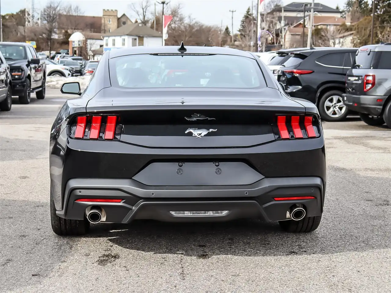 Ford Mustang fotografie Ford Mustang