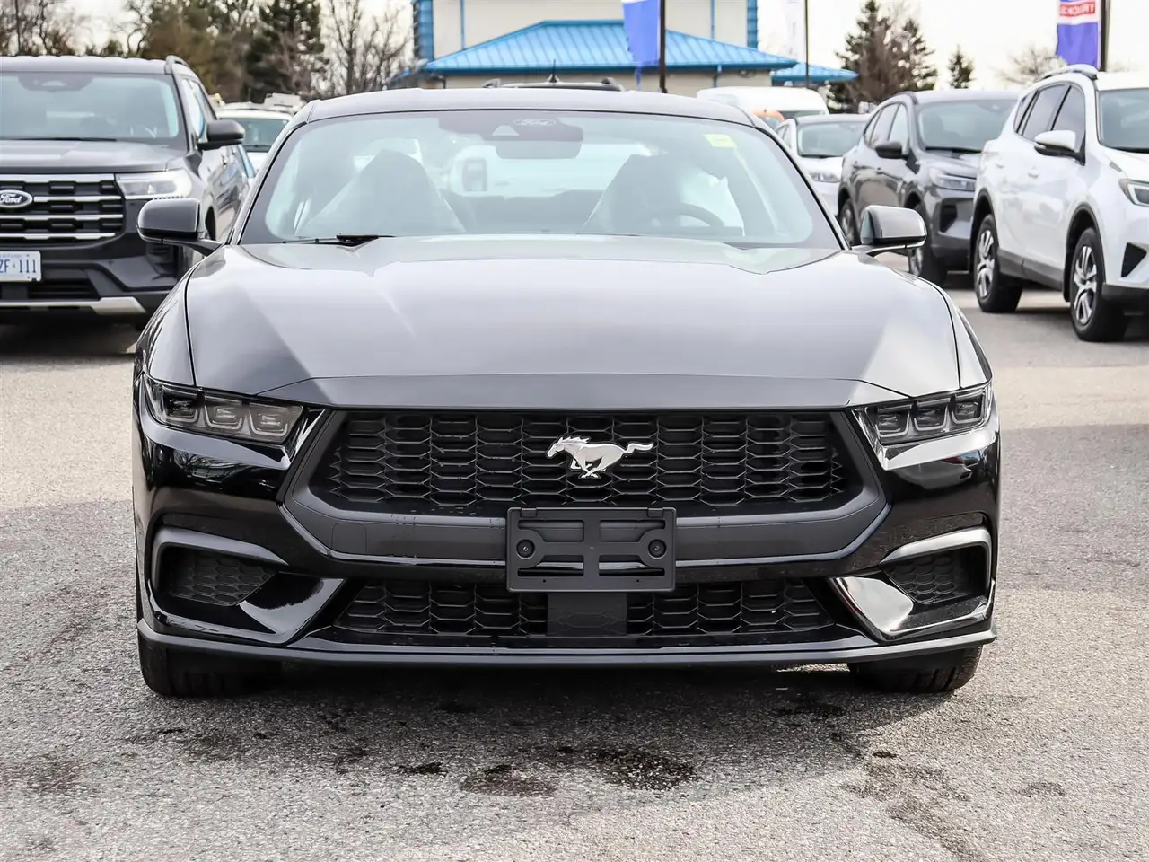 Ford Mustang fotografie Ford Mustang
