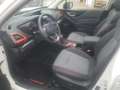 Subaru Forester 2.0i.e. Edition Sport 40 Weiß - thumbnail 12